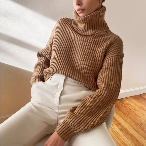 Aritzia Sweaters Aritzia Babaton Guell Slouchy Crop Turtleneck